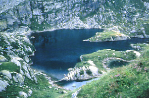 Environnement & milieu montagnard