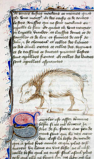 EXPOSITION GASTON PHÉBUS (1331-1391)