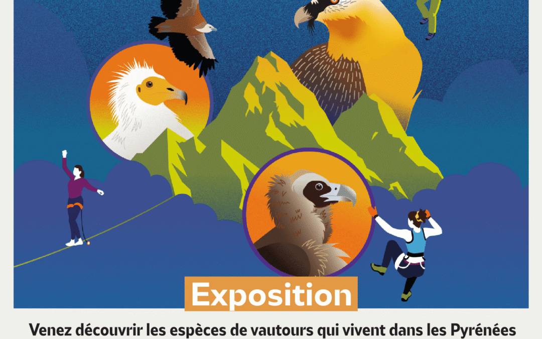 VAUTOURS ET SPORTS DE NATURE A PAU