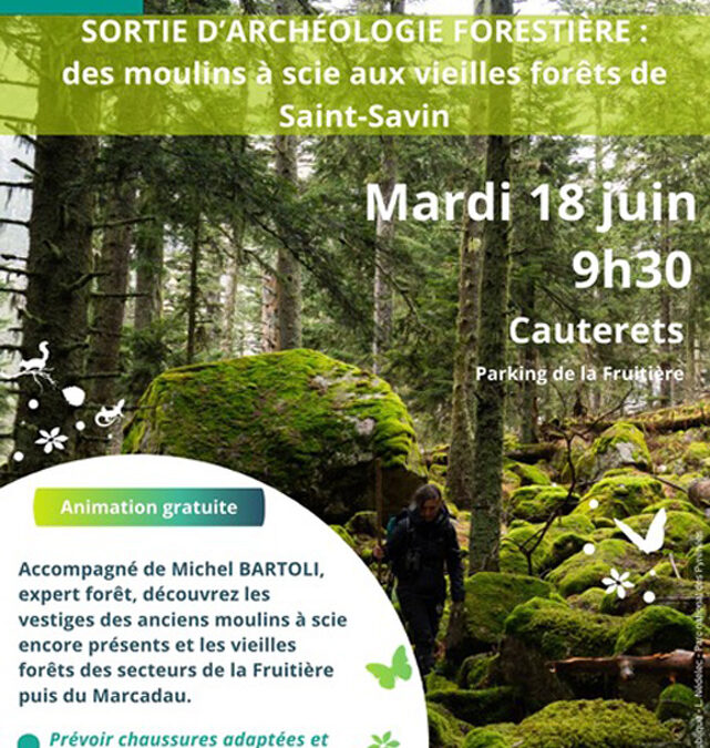 ARCHEOLOGIE FORESTIERE A CAUTERETS (H.P.)