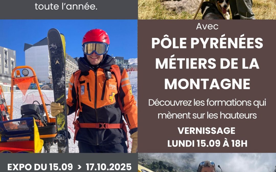 PROS DE LA MONTAGNE A PAU