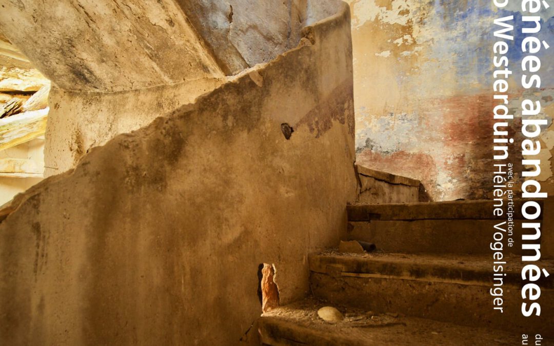 EXPOSITION: PYRENEES ABANDONNEES A PAU
