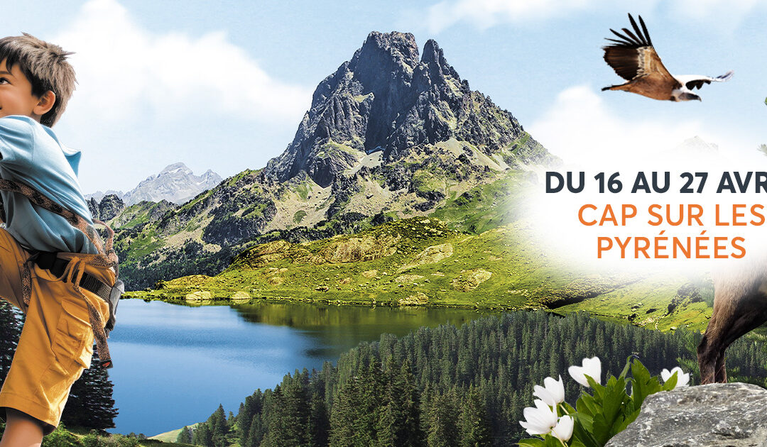 CAP SUR LES PYRENEES A AUCHAN PAU