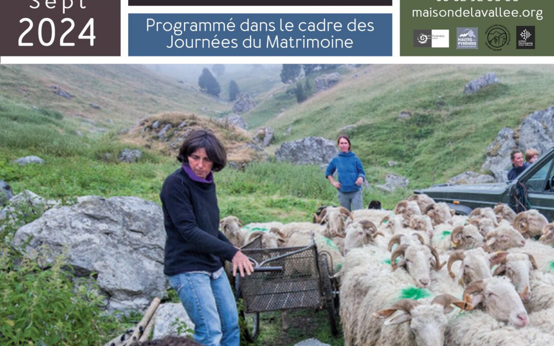 DES BREBIS ET DES FEMMES A LUZ SAINT SAUVEUR