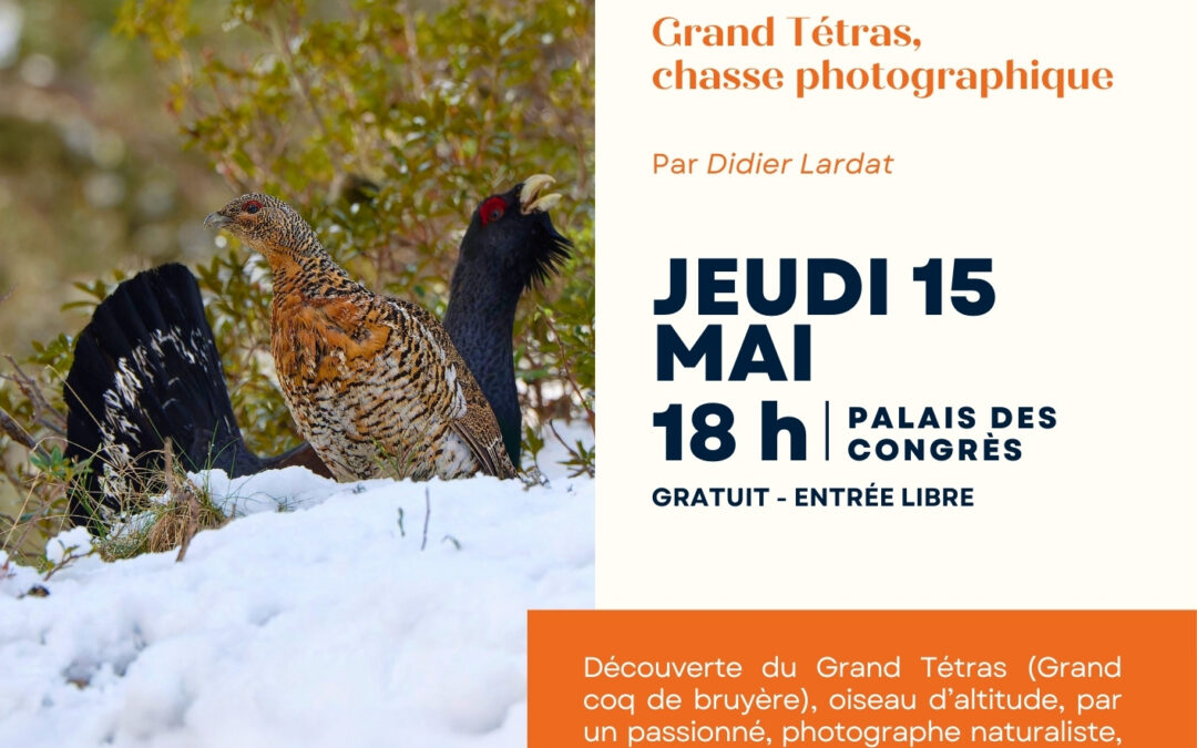 LE GRAND TETRAS A LOURDES