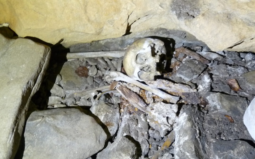 UNE SÉPULTURE DE L’ÂGE DU BRONZE À ARTHEZ D’ASSON (P.A.)