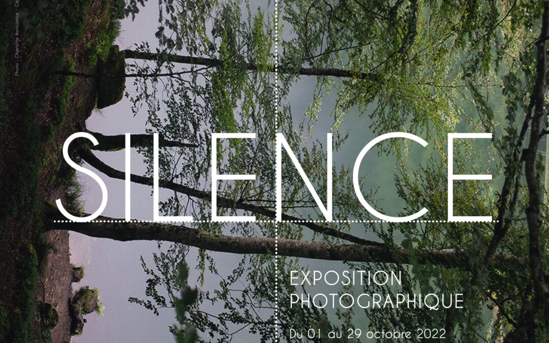 AU MILIEU D&rsquo;UN SILENCE: EXPOSITION A BAGNERES DE BIGORRE