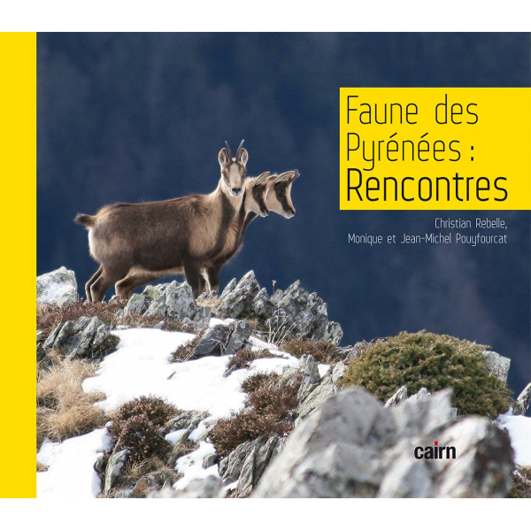 FAUNE DES PYRENEES: RENCONTRES