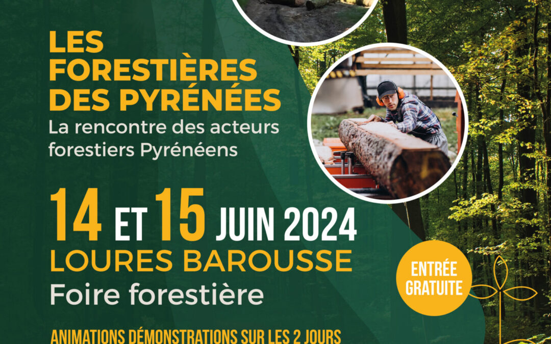FOIRE FORESTIERE A LOURES BAROUSSE