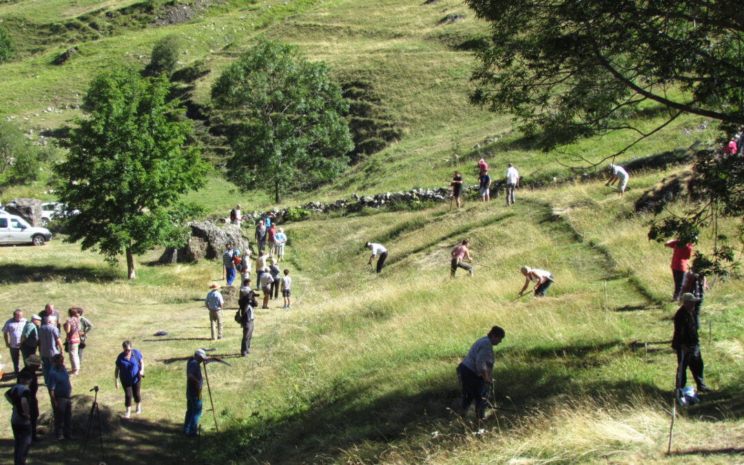 HÉAS: JOURNÉE DE L&rsquo;HERBE ET DU PRÉ