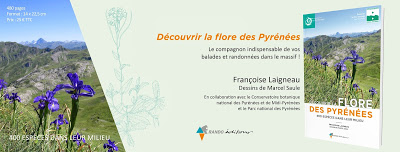 INVITATION : DÉCOUVRIR LA FLORE DES PYRÉNÉES