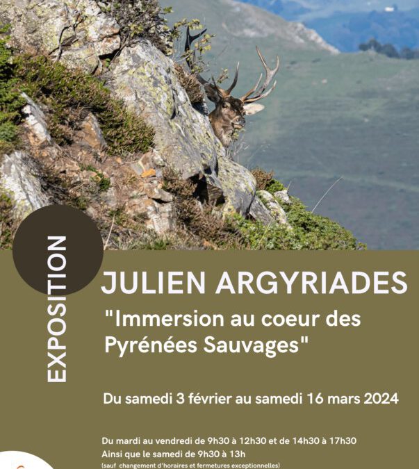 IMMERSION AU COEUR DES PYRENEES SAUVAGES