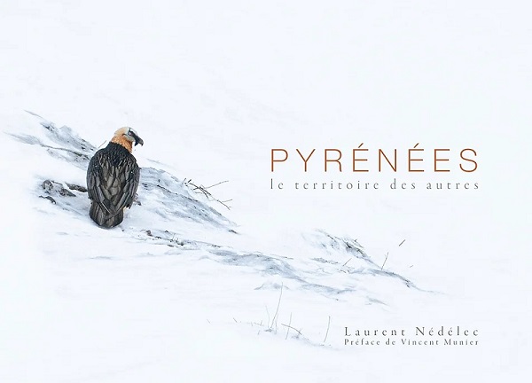 Pyrénées, le territoire des autres