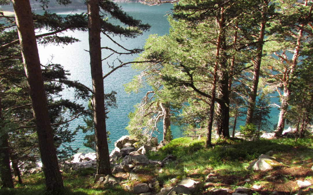 UN SENTIER AUTOUR DU LAC D’OREDON ?