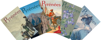 Offre découverte
