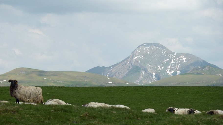 EXPOSITION « ITINERAIRES DE BERGERS » A LARUNS