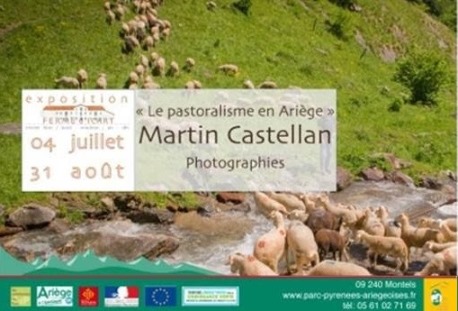 EXPOSITION : LE PASTORALISME EN ARIÈGE