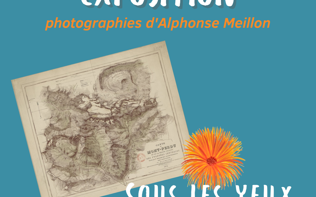 LES PHOTOGRAPHIES D&rsquo;ALPHONSE MEILLON A ARRENS (H.P.)