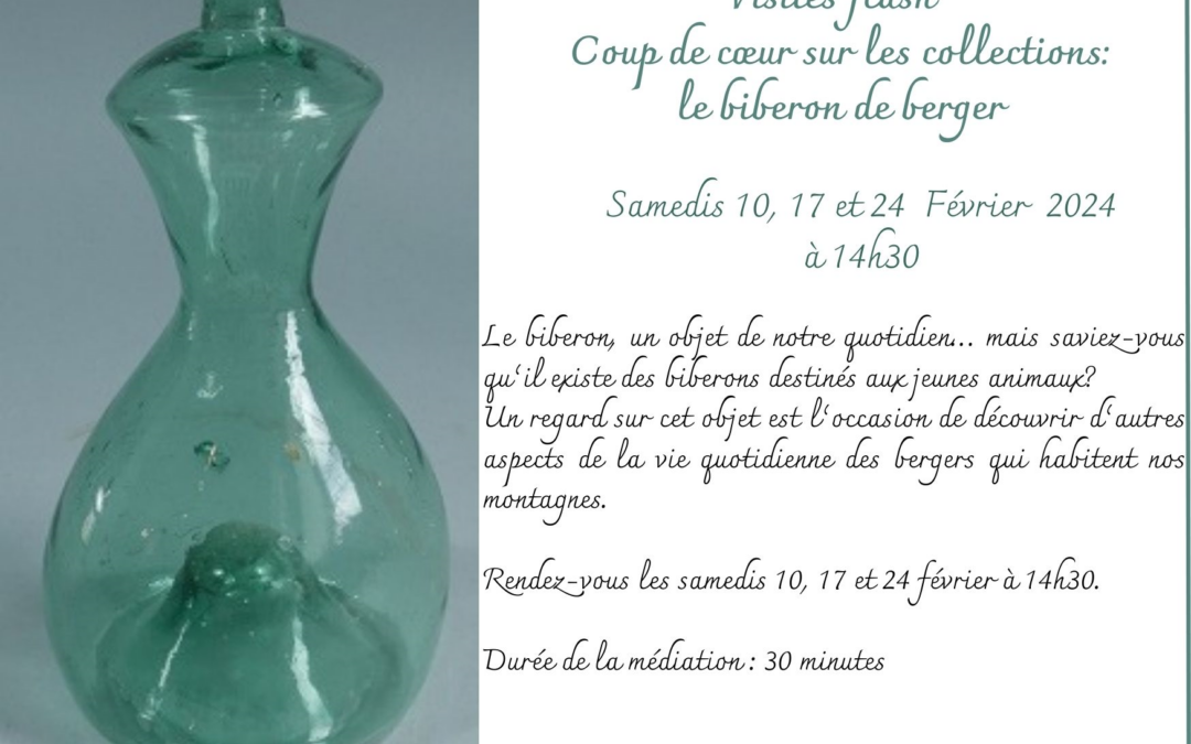 VISITE FLASH DE FEVRIER